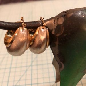 14kt polished yellow and satin white gold earrings